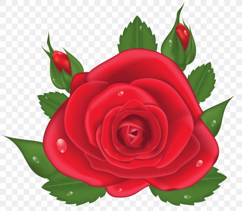 Garden Roses Centifolia Roses Clip Art, PNG, 3000x2619px, Centifolia Roses, Art, Cut Flowers, Floral Design, Floribunda Download Free