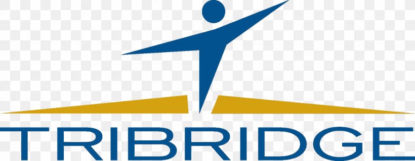 Logo Organization Tribridge Brand Business, PNG, 1600x624px, Logo, Area, Brand, Business, Diagram Download Free