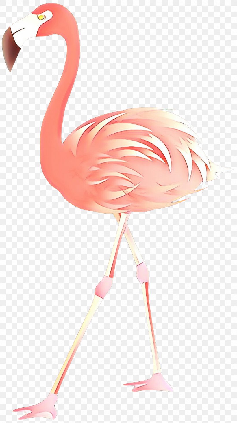 Clip Art Flamingo Image Desktop Wallpaper, PNG, 1677x3000px, Flamingo, Beak, Bird, Ciconiiformes, Greater Flamingo Download Free