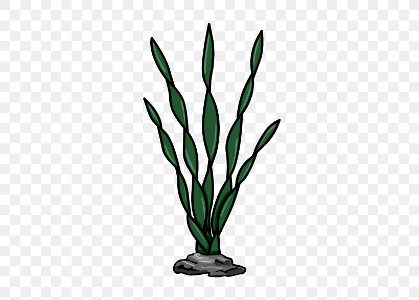 Seaweed Algae Clip Art, PNG, 591x586px, Seaweed, Algae, Aquarium Decor, Branch, Club Penguin Entertainment Inc Download Free