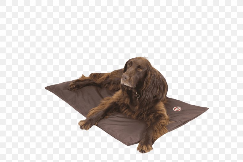 Dog Houses Duvet Mattress Kennel, PNG, 1024x683px, Dog, Basket, Boykin Spaniel, Brown, Dog Houses Download Free