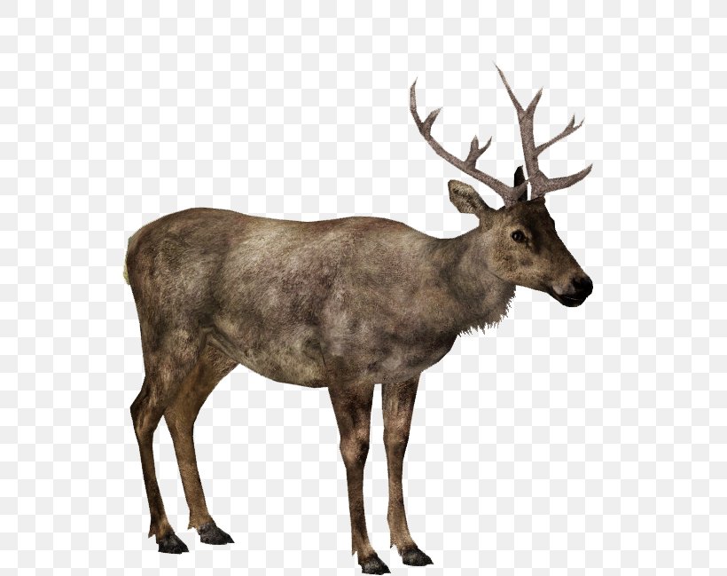 Elk Moose Zoo Tycoon 2 Deer, PNG, 649x649px, Elk, Animal, Antler, Barren Ground Caribou, Deer Download Free