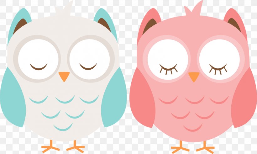 Owl Boy Clip Art, PNG, 1600x959px, Watercolor, Cartoon, Flower, Frame, Heart Download Free