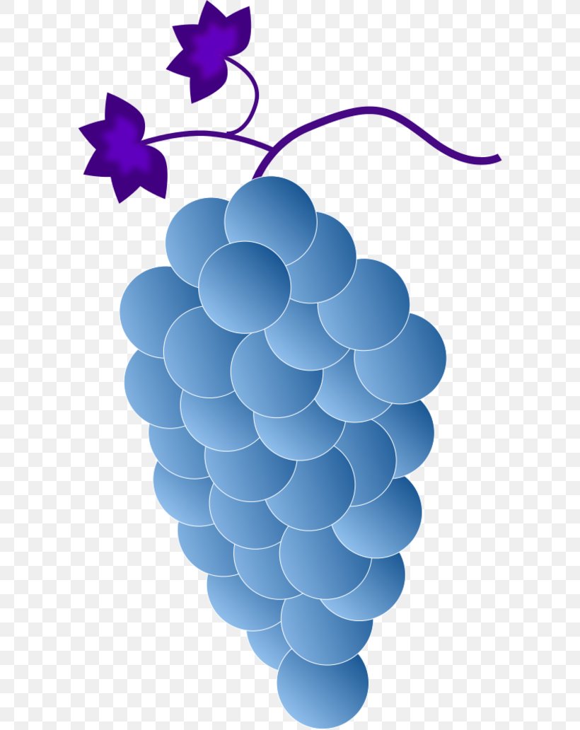Common Grape Vine Wine Clip Art, PNG, 600x1032px, Common Grape Vine, Blue, Color, Flowering Plant, Fruit Download Free