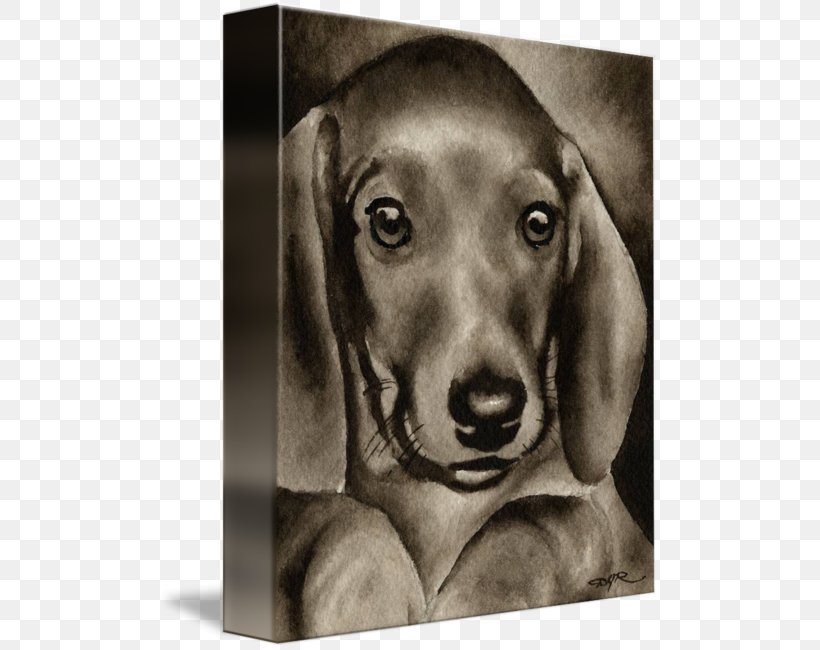 Dachshund Weimaraner Puppy Love Dog Breed, PNG, 501x650px, Dachshund, Black, Black And White, Breed, Carnivoran Download Free