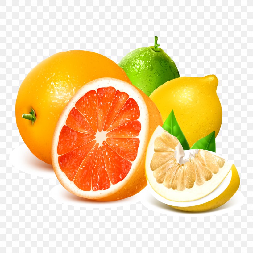 Lemon Grapefruit Royalty-free Illustration, PNG, 1503x1503px, Lemon, Bitter Orange, Citric Acid, Citrus, Clementine Download Free