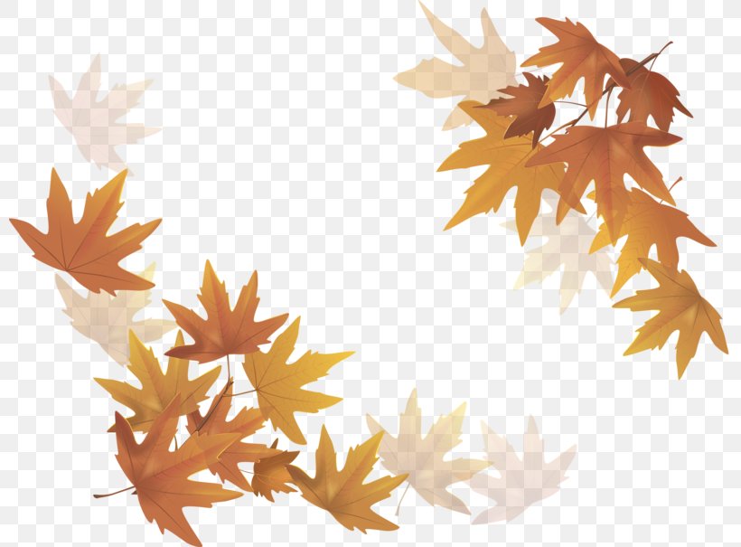 Royalty-free Tree, PNG, 800x605px, Royaltyfree, Autumn, Branch, Can Stock Photo, Leaf Download Free