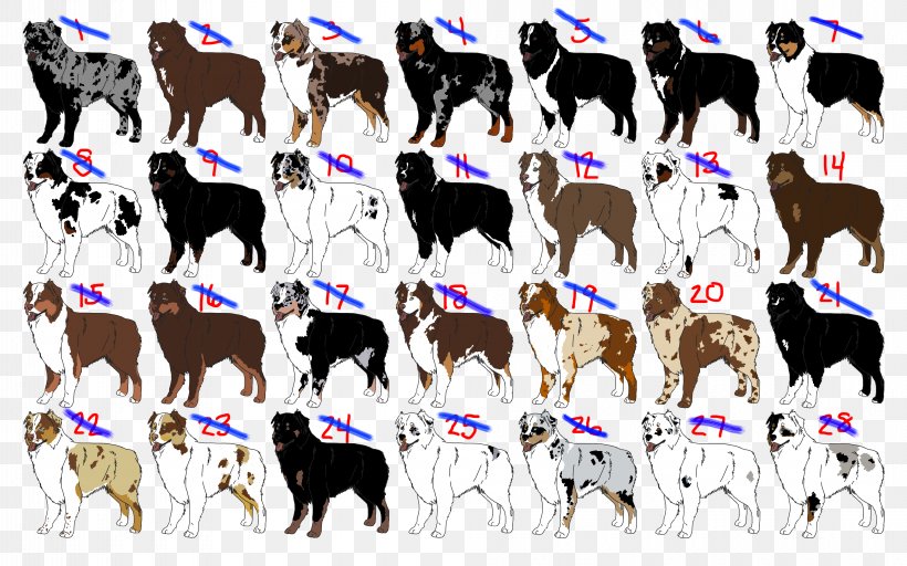 Australian Shepherd Miniature American Shepherd German Shepherd Dobermann Blue Merle, PNG, 8000x5000px, Australian Shepherd, Blue Merle, Breed, Cattle Like Mammal, Cow Goat Family Download Free