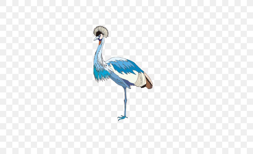 Crane Bird, PNG, 500x500px, Crane, Beak, Bird, Blue, Blue Crane Download Free