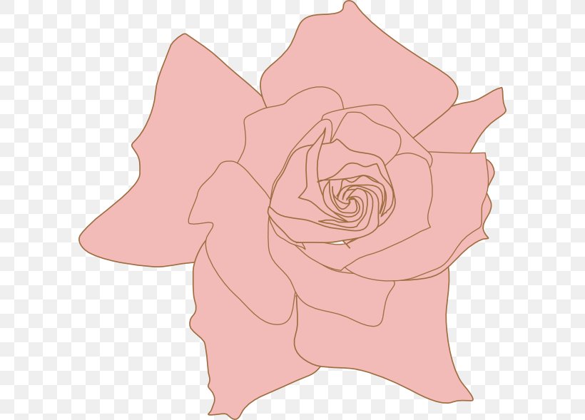 Garden Roses Flower Pink Floral Design Petal, PNG, 600x589px, Garden Roses, Botany, Camellia, Cut Flowers, Floral Design Download Free