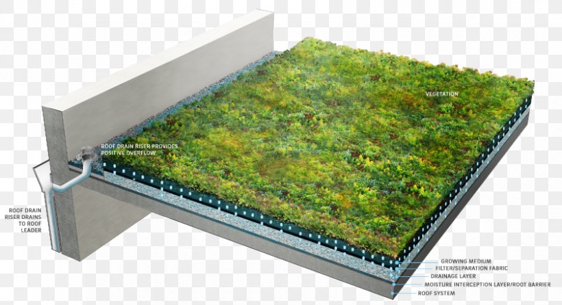 Green Roof Garden Landscaping Drainage, PNG, 840x457px, Roof, Drainage, Eaves, Garden, Grass Download Free