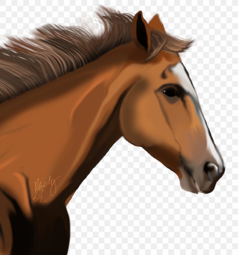 Horse Clip Art, PNG, 862x926px, American Miniature Horse, Bit, Bridle, Clipping Path, Colt Download Free