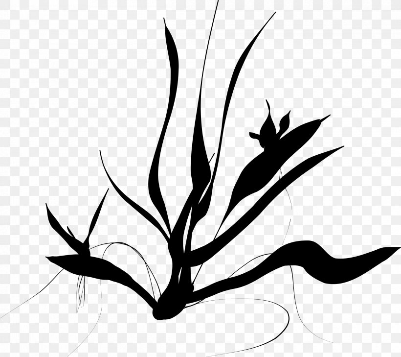 Line Art Drawing Clip Art, PNG, 2400x2136px, Line Art, Art, Artwork, Black And White, Branch Download Free