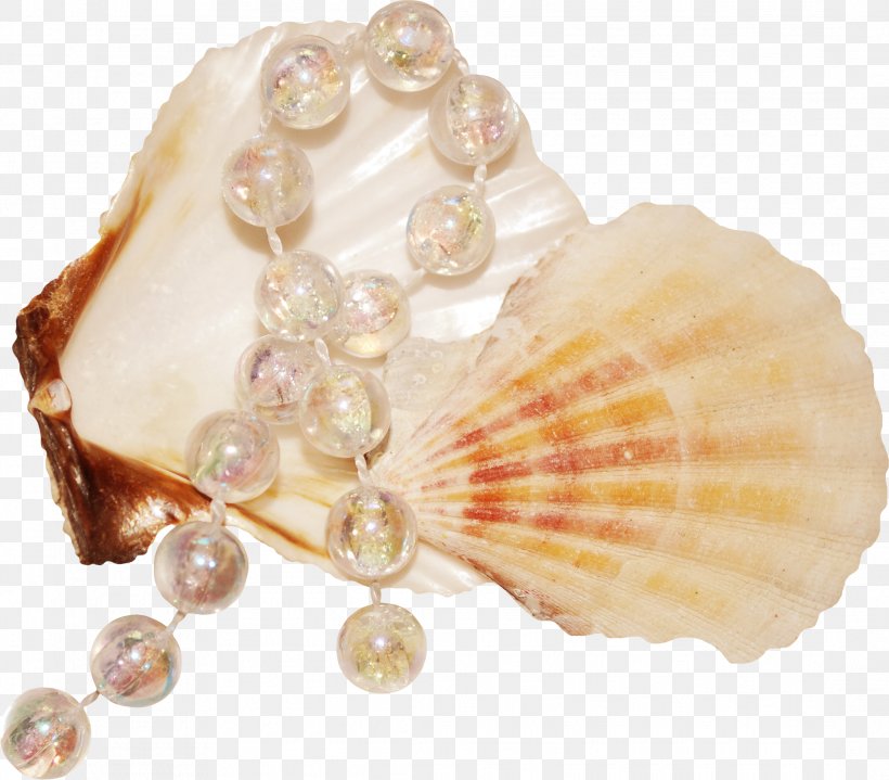 Seashell Raster Graphics Clip Art, PNG, 2171x1906px, Seashell, Body Jewelry, Clothing Accessories, Coast, Conch Download Free