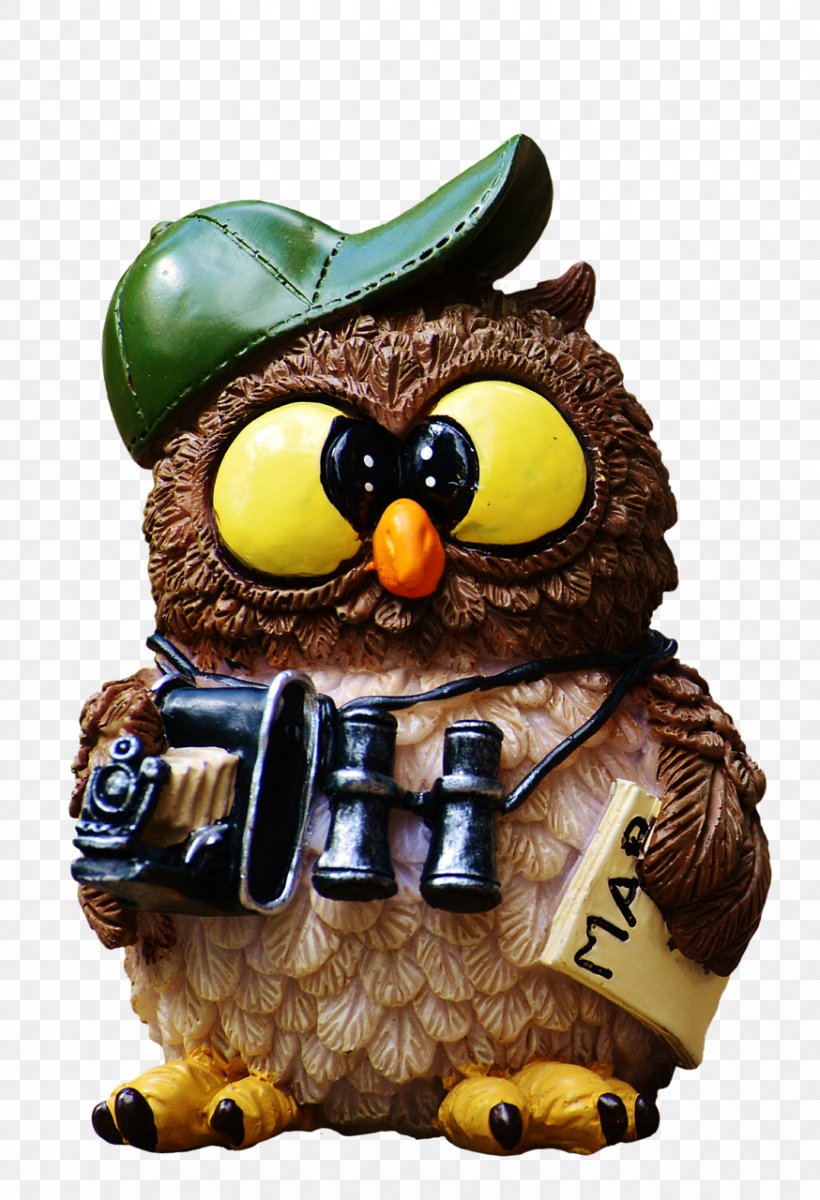 Desktop Wallpaper Owl Image Binoculars Photograph, PNG, 874x1280px, Owl, Animal Figure, Binoculars, Bird, Bird Of Prey Download Free