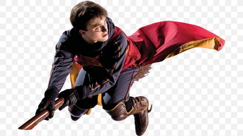 Harry Potter: Quidditch World Cup Ron Weasley Harry Potter And The Deathly Hallows Harry Potter Paperback Boxed Set, PNG, 700x461px, Harry Potter Quidditch World Cup, Extreme Sport, Fictional Character, Harry Potter, Harry Potter Paperback Boxed Set Download Free