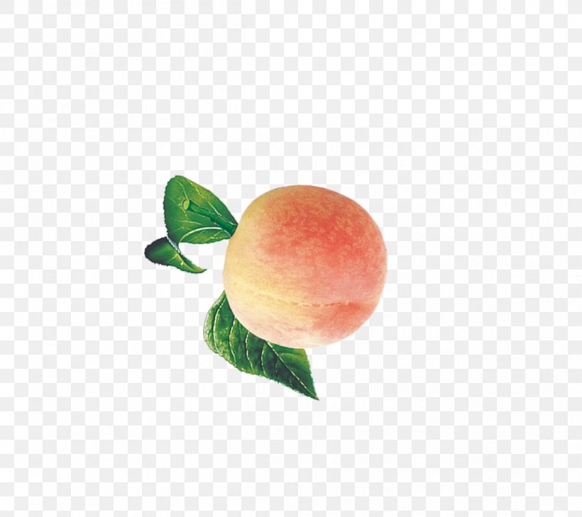 Peach Auglis Download Fruit, PNG, 1207x1074px, Peach, Auglis, Computer, Food, Fruit Download Free
