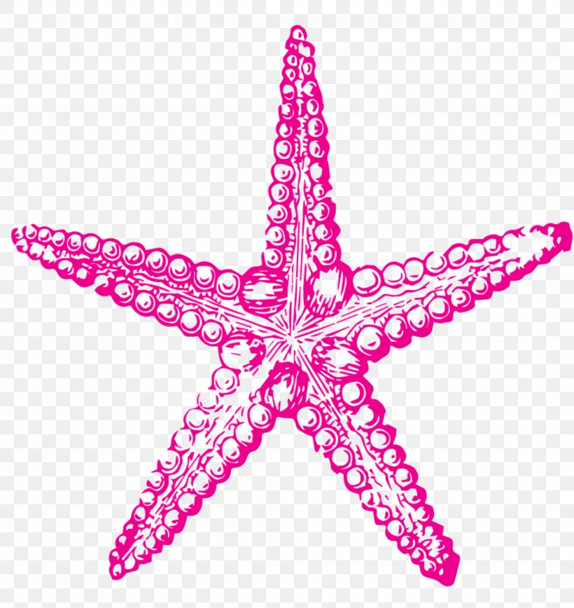 Sea Urchin Drawing Starfish Clip Art, PNG, 4250x4500px, Sea Urchin, Animal, Art, Doodle, Drawing Download Free