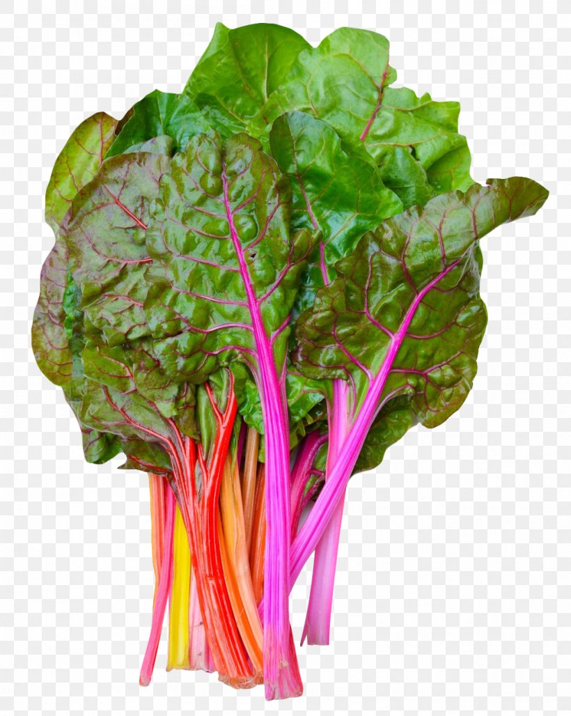 Chard Switzerland Vegetable, PNG, 995x1248px, Chard, Common Beet, Flowerpot, Food, Leaf Download Free