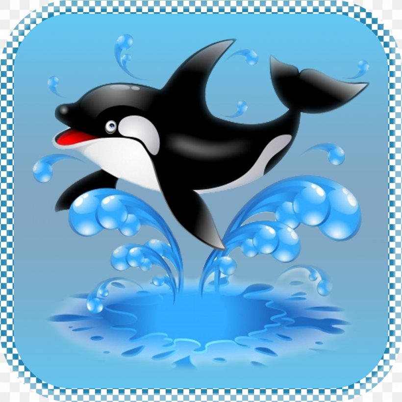 Dolphin Killer Whale Marine Mammal Penguin Cetacea, PNG, 1024x1024px, Dolphin, Aspect Ratio, Beak, Cetacea, Fish Download Free