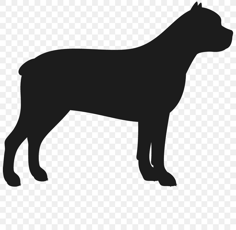 Staffordshire Bull Terrier American Staffordshire Terrier Cane Corso Bulldog, PNG, 800x800px, Staffordshire Bull Terrier, American Staffordshire Terrier, Black, Black And White, Bull Terrier Download Free