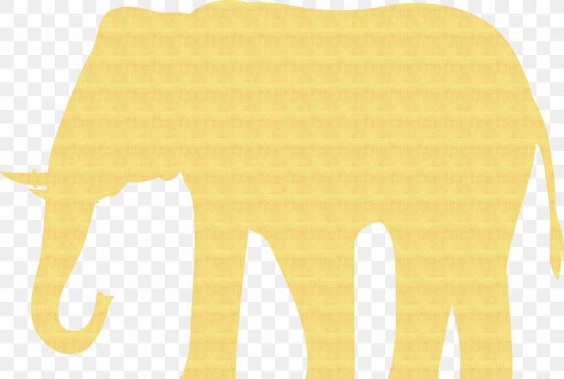 Indian Elephant, PNG, 3000x2022px, Indian Elephant, African Elephants, Elephant, Giraffids, Meter Download Free
