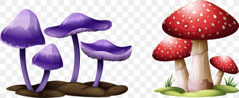 Mushroom Festival Drawing Illustration, PNG, 1140x468px, Mushroom Festival, Amanita Muscaria, Art, Drawing, Edible Mushroom Download Free