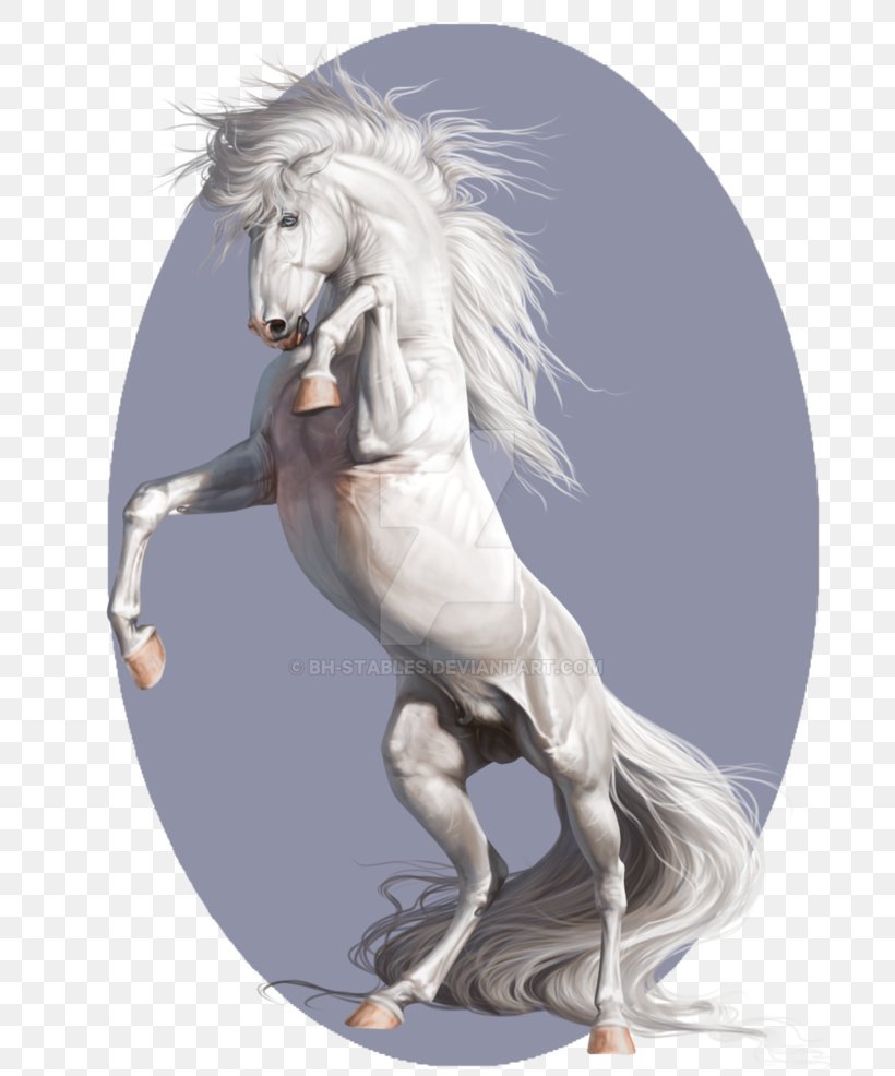 Stallion Artist Mustang Pony, PNG, 811x986px, Stallion, Art, Artist, Autodidacticism, Deviantart Download Free