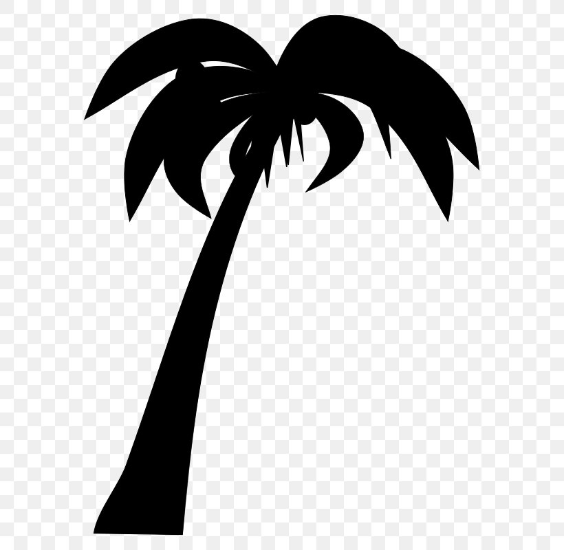 Tree Arecaceae Coconut Silhouette, PNG, 619x800px, Tree, Anahaw, Arecaceae, Arecales, Black And White Download Free