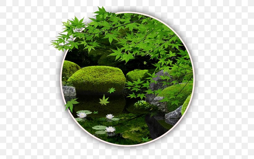 Color Zen My Moody Free, PNG, 512x512px, Android, App Store, Aquatic Plant, Flora, Garden Download Free