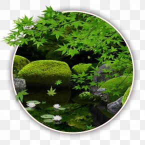 Live Wallpaper Android Application Package Google PlayZen Garden - Color Zen My Moody Free PNG