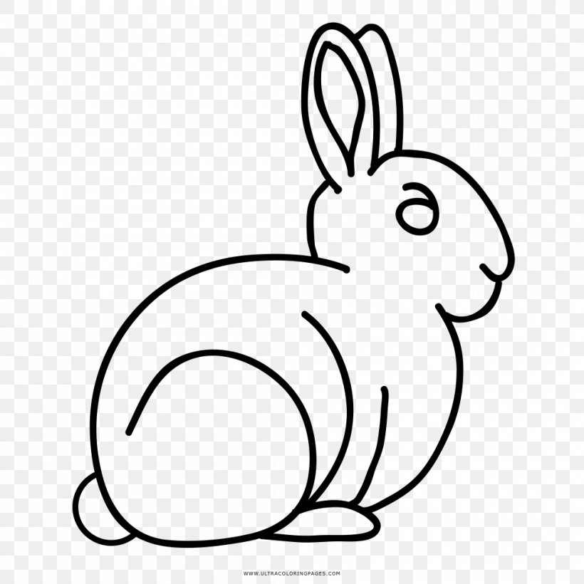 Domestic Rabbit Hare European Rabbit Coloring Book, PNG, 1000x1000px, Domestic Rabbit, Area, Artwork, Black And White, Cartoon Download Free