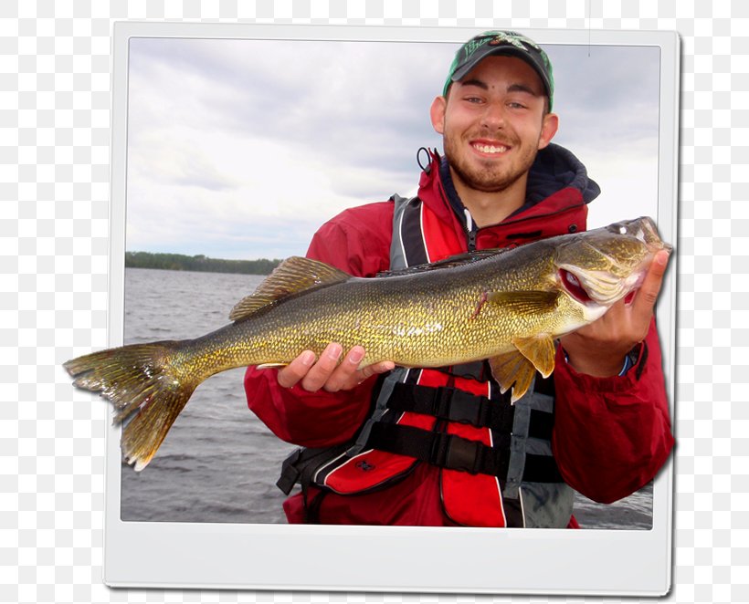 Fishing Lake Macleod Walleye Fishing, PNG, 685x662px, Fishing, Brook Trout, Cod, Fish, Fish Hook Download Free