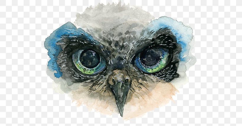 Owl Eye Drawing Watercolor Painting, PNG, 600x428px, Owl, Art, Beak, Big Eyes, Bird Of Prey Download Free