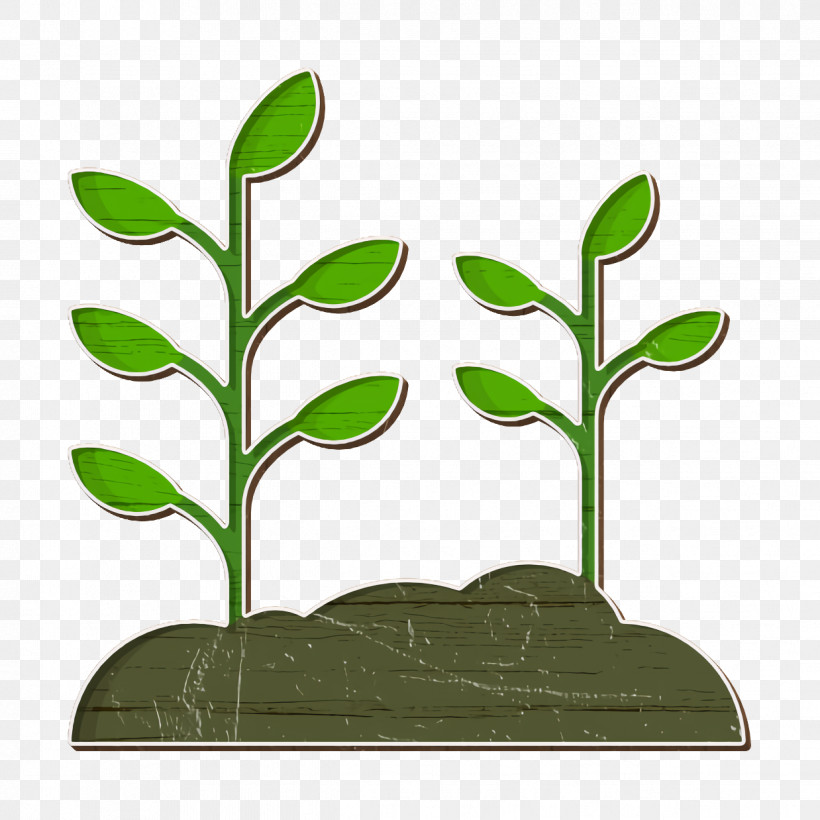 Plant Icon Spring Nature Icon, PNG, 1238x1238px, Plant Icon, Icon Design, Leaf, Plants, Share Icon Download Free