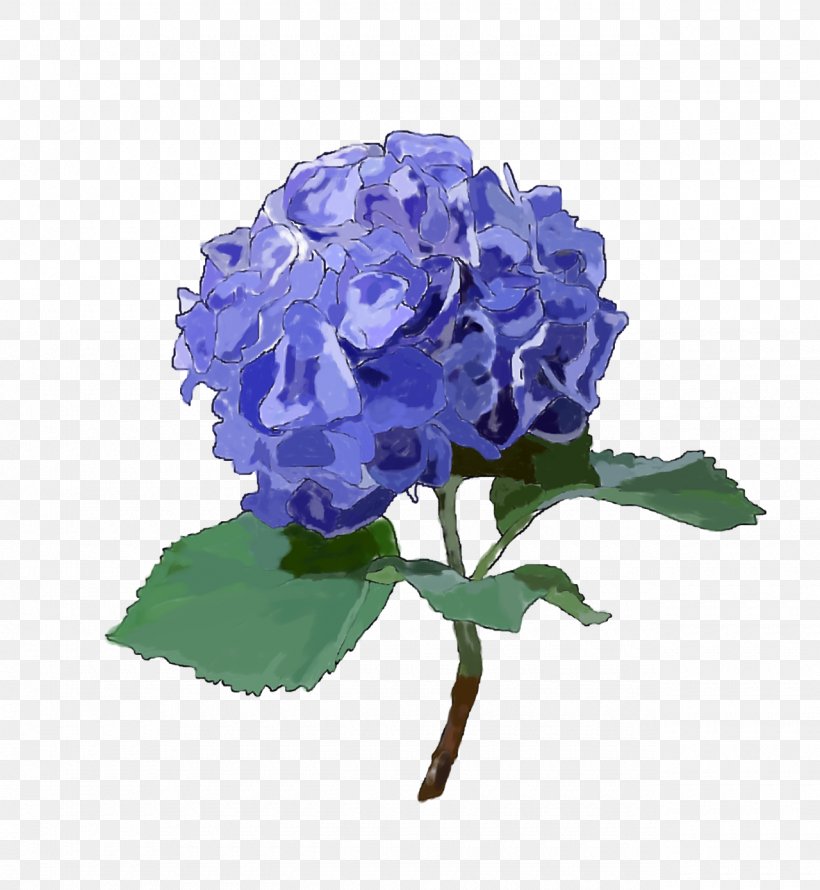 French Hydrangea Oakleaf Hydrangea Blue Panicled Hydrangea Flower, PNG, 1280x1390px, French Hydrangea, Annual Plant, Blue, Cornales, Cut Flowers Download Free