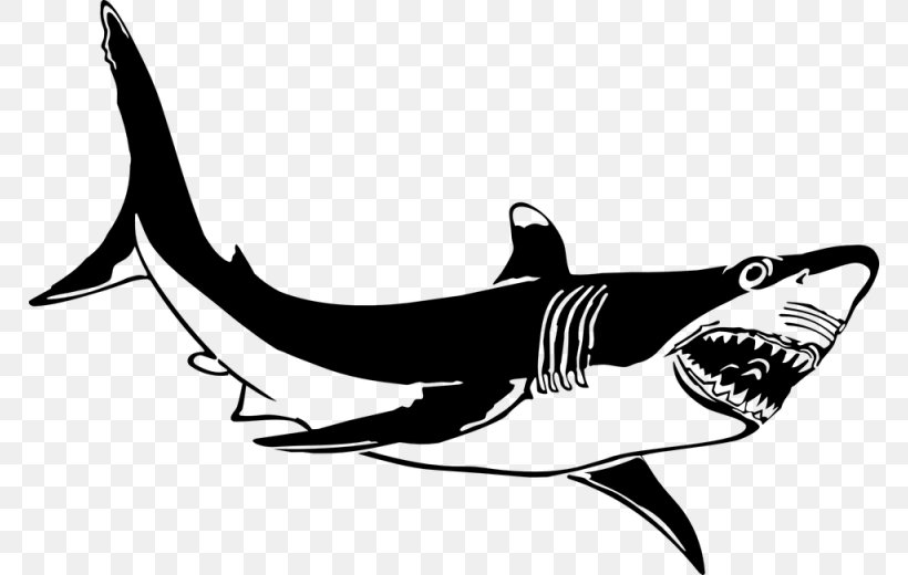 Great White Shark Hungry Shark Evolution Clip Art, PNG, 768x520px, Shark, Automotive Design, Black, Black And White, Blacktip Reef Shark Download Free