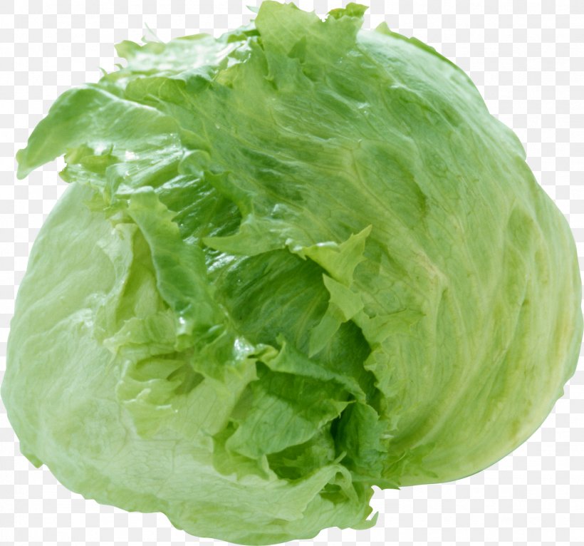 Iceberg Lettuce Cabbage Broccoli Salad Dish, PNG, 1489x1392px, Iceberg Lettuce, Brassica Oleracea, Broccoli, Cabbage, Collard Greens Download Free