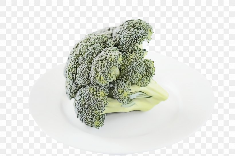 Salad, PNG, 2448x1632px, Watercolor, Broccoli, Cabbage, Cauliflower, Diet Download Free