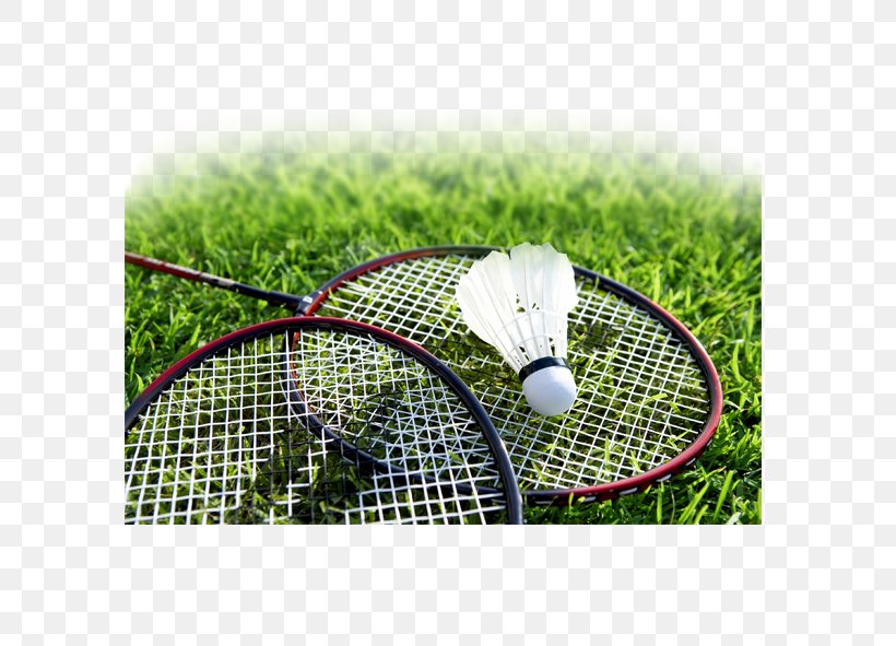 Badminton Sport Racket Smash Shuttlecock, PNG, 591x591px, Badminton, Ball, Grass, Jokgu, Net Download Free