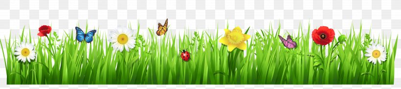 Flower Desktop Wallpaper Clip Art, PNG, 4335x972px, Flower, Computer, Field, Flowering Plant, Free Content Download Free