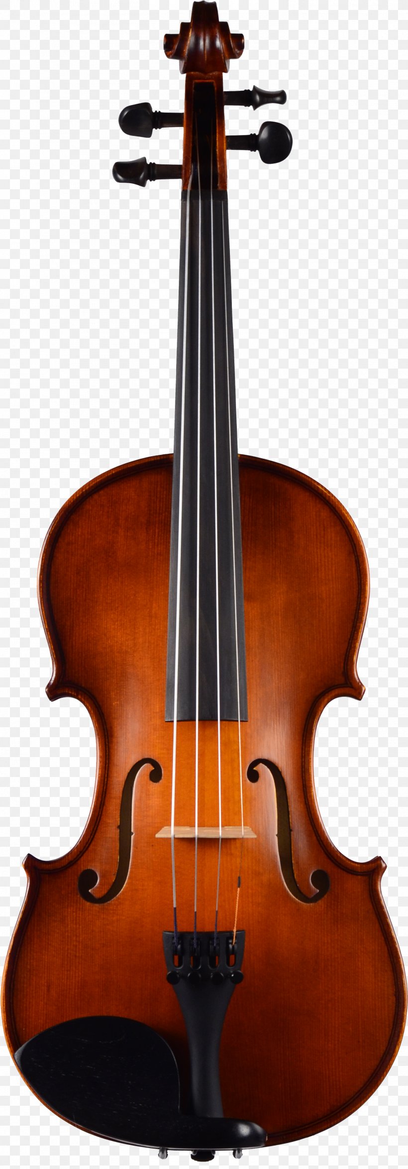 Violin Family Viola Cello, PNG, 1466x4197px, Violin, Bass Violin, Bow, Bowed String Instrument, Cello Download Free