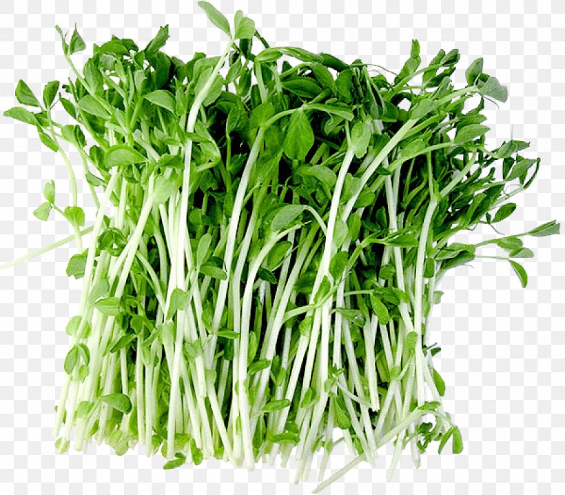 Water Spinach Vegetarian Cuisine Garden Cress Herb Superfood, PNG, 900x789px, Water Spinach, Commodity, Food, Garden Cress, Gland Download Free