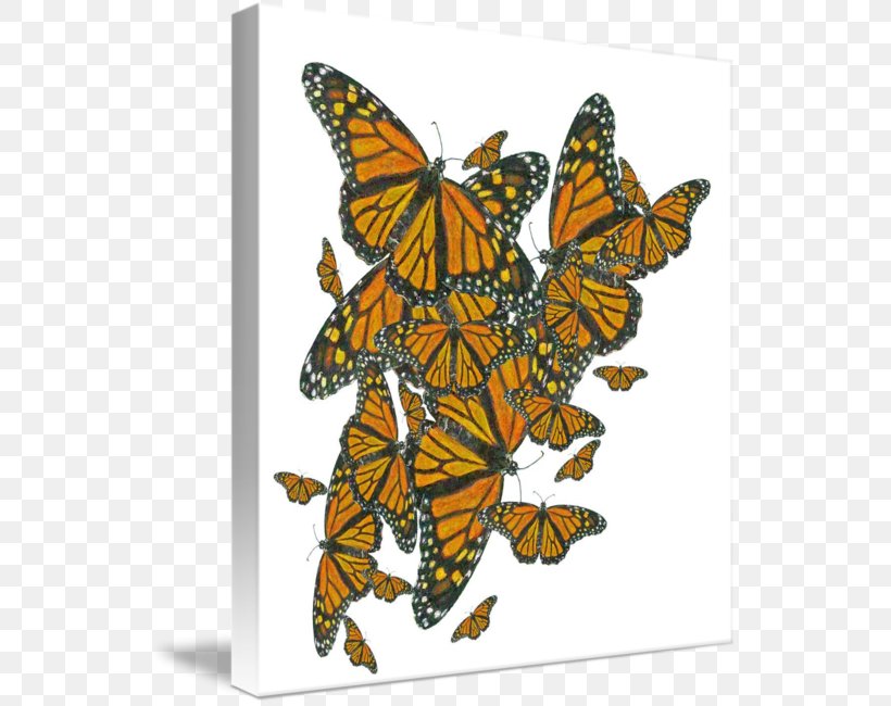 Monarch Butterfly T-shirt Clothing Hoodie Fashion, PNG, 541x650px, Monarch Butterfly, Art, Arthropod, Awareness Ribbon, Baby Toddler Onepieces Download Free