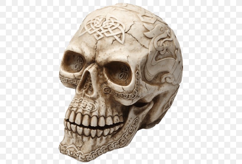 Skull Human Skeleton Head Bone, PNG, 555x555px, Skull, Bone, Crystal, Crystal Healing, Figurine Download Free