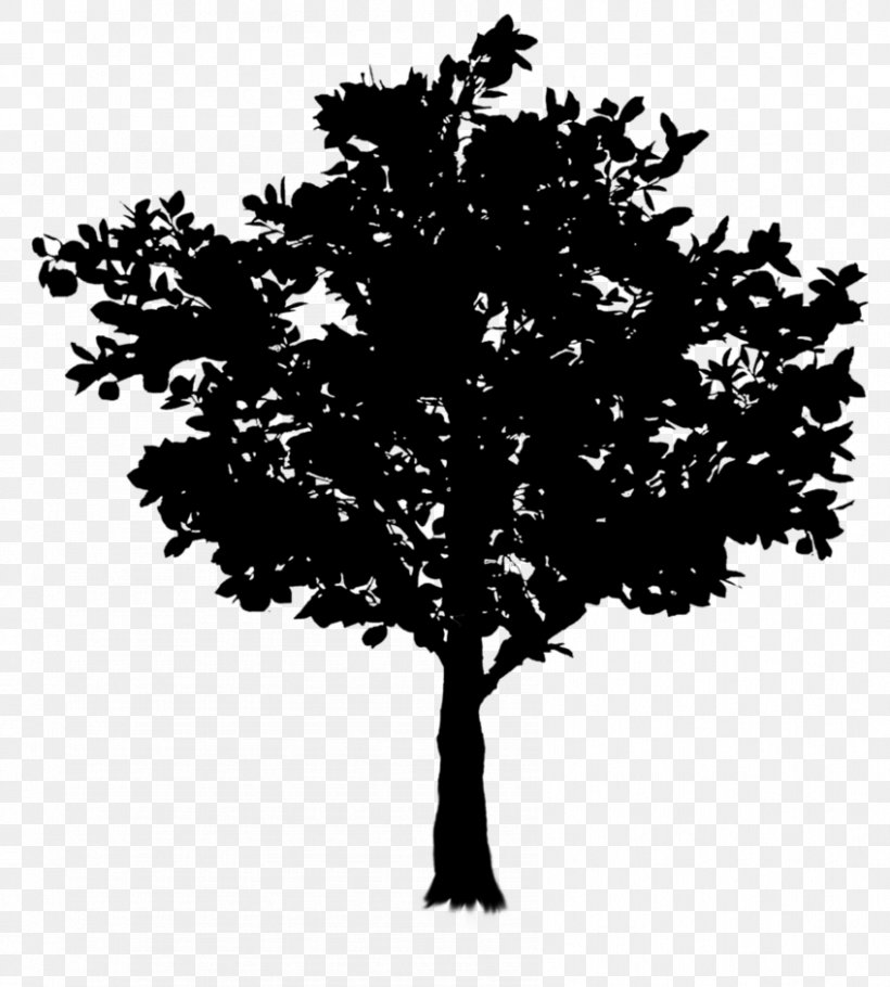 Twig Tree Oak Image Branch, PNG, 848x942px, Twig, Arbor Day, Black, Black And White, Blackandwhite Download Free