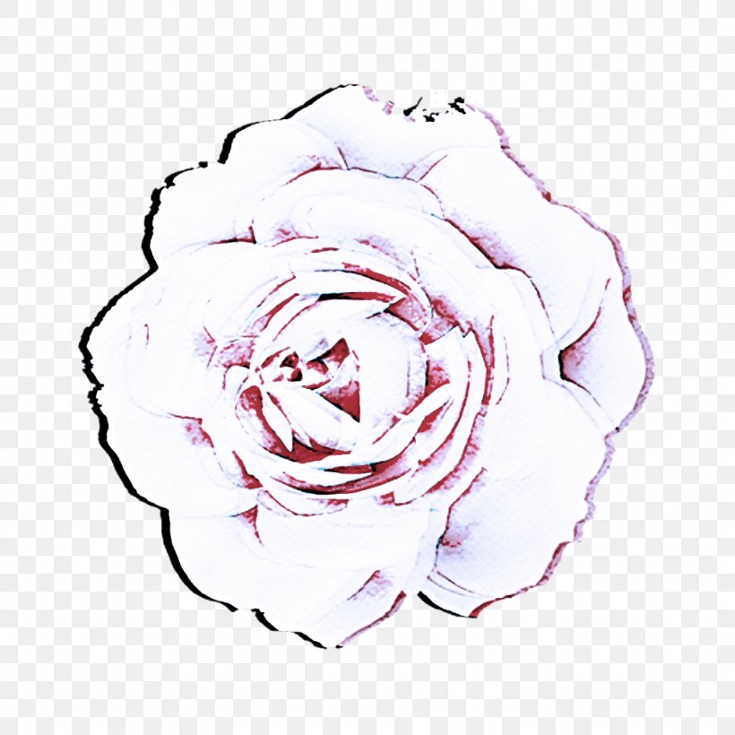 Garden Roses, PNG, 1024x1024px, White, Flower, Garden Roses, Hybrid Tea Rose, Petal Download Free