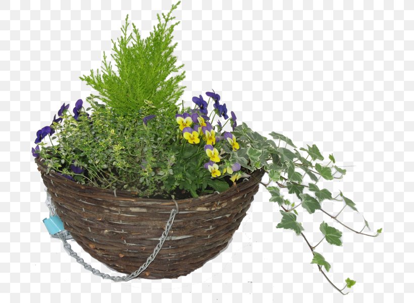 Hare Hatch Sheeplands Garden Flowerpot Nursery Hanging Basket, PNG, 800x600px, Hare Hatch Sheeplands, Botanical Garden, Flower, Flowerpot, Garden Download Free