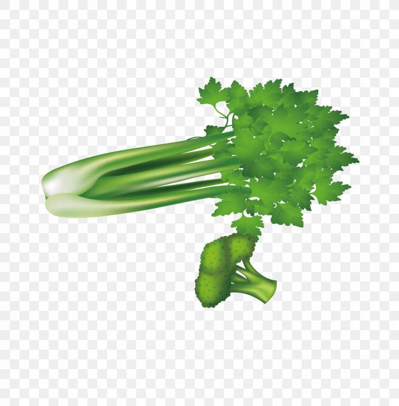 Leaf Vegetable Broccoli Celery U7dd1u9ec4u8272u91ceu83dc, PNG, 1240x1265px, Leaf Vegetable, Broccoli, Celery, Food, Grass Download Free