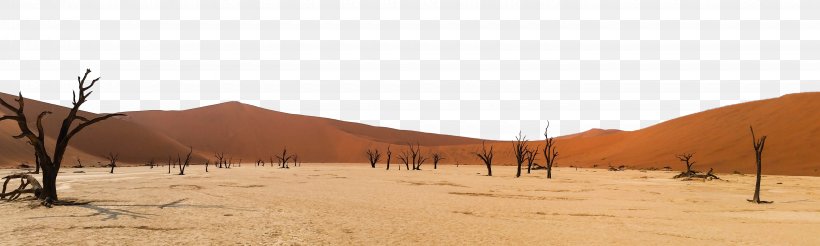 Sossusvlei Namib-Naukluft National Park Great Sandy Desert, PNG, 5760x1728px, Sossusvlei, Aeolian Landform, Africa, Area, Continent Download Free